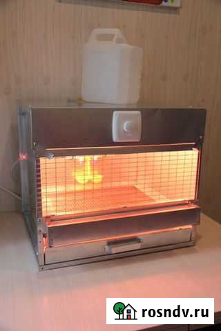 Брудер для цыплят Киров - изображение 1