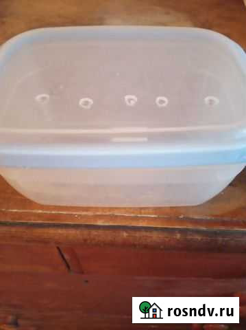 Контейнер для улиток Чусовой - изображение 1