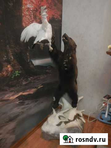 Продам чучело Кола - изображение 1