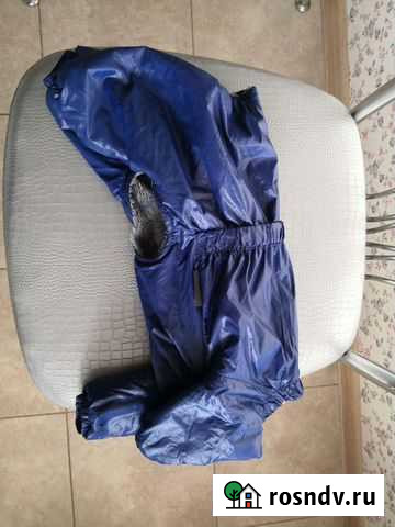 Комбинезон для собаки кобеля Dogmoda Мытищи - изображение 1