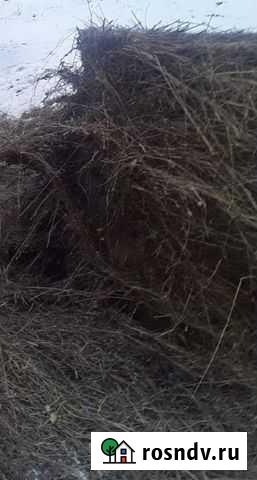 Сено в тюках Горно-Алтайск - изображение 1
