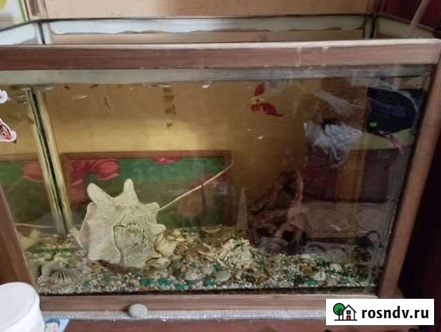 Аквариум Нижний Новгород - изображение 1