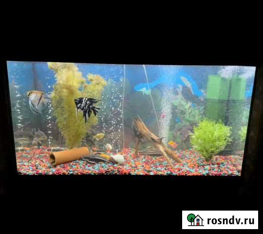 Аквариум Самарское - изображение 1