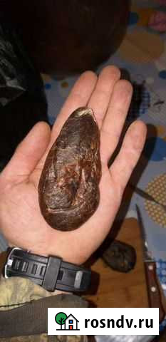 С.т.р.у.я Соликамск - изображение 1