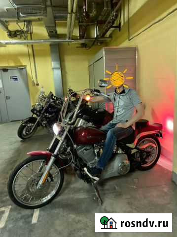 Harley davidson softail standard 2007 Мурино - изображение 1