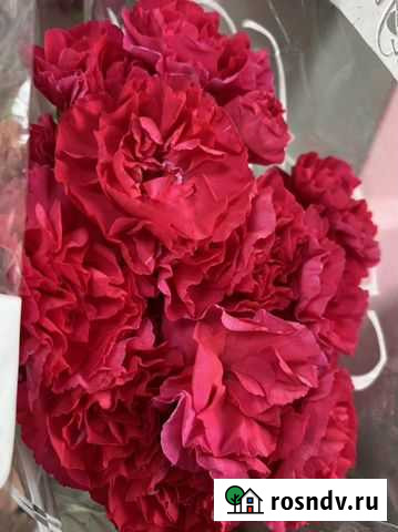 Букеты и композиции Фролово - изображение 1