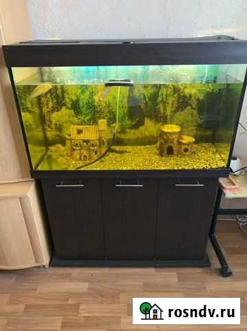 Аквариум 220 литров Воронеж - изображение 1