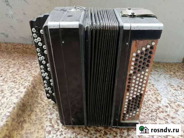 Баян Екатеринбург - изображение 1