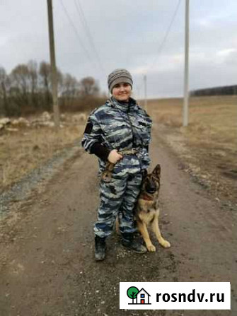 Дрессировщик собак Тула - изображение 1