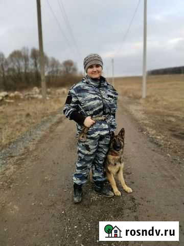 Дрессировщик собак Тула - изображение 1