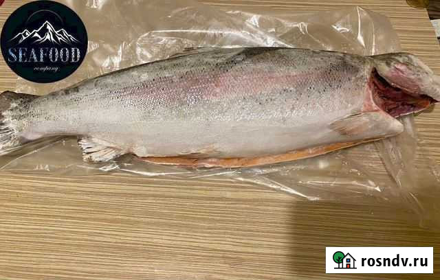 Форель карельская Дмитров - изображение 1