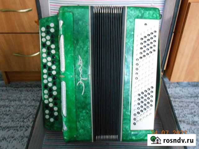 Баян Эра Дубовое - изображение 1