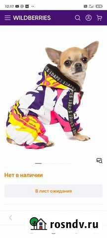 Комбинезон для собаки + подарок свитер Кировск - изображение 1