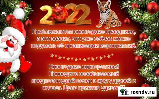 Музыкальное сопровождение, Новогодние корпоративы Новошахтинск - изображение 1