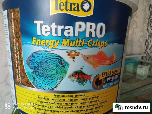 Корм для всех видов рыб Чита - изображение 1