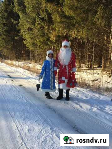 Дед Мороз и Снегурочка Кострома - изображение 1