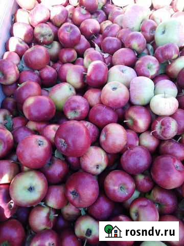 Яблоки Иловка - изображение 1