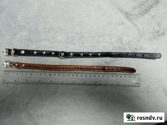 Ошейник для маленьких собак Тейково - изображение 1