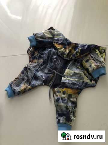 Одежда для собак Серпухов - изображение 1