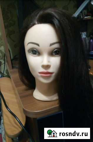 Голова - манекен учебная /модуль тренировочный Ленинск-Кузнецкий - изображение 1