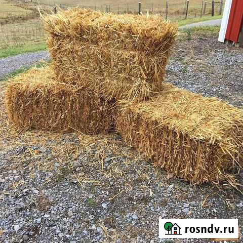 Сено и солома в тюках Новокубанск - изображение 1
