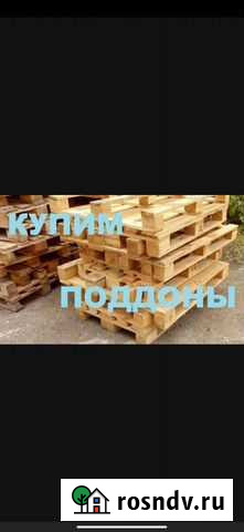 Поддоны деревянные бу Избербаш - изображение 1