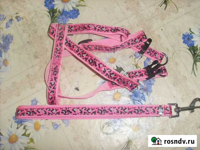Шлейка и поводок Новороссийск - изображение 1