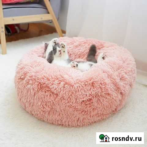 Кошкин уютный домик Сочи - изображение 1