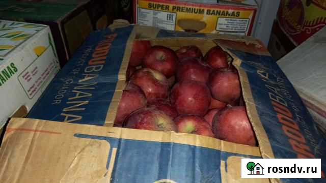 Яблоки Нальчик - изображение 1
