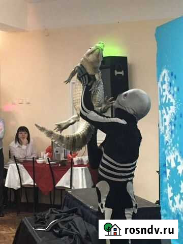 Артисты на праздник Павлово - изображение 1