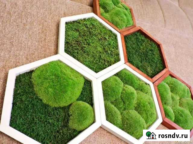 Декоративная штукатурка Пенза - изображение 1