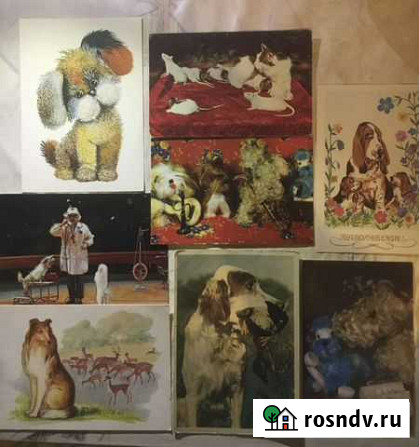 Открытки Александров - изображение 1