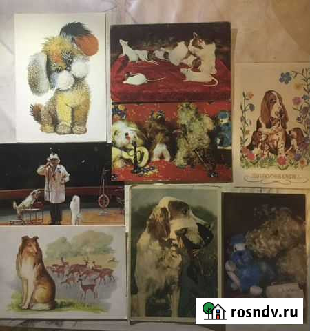 Открытки Александров - изображение 1