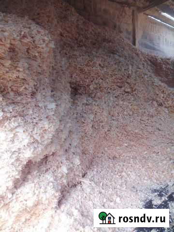 Бесплатно стружка и опилки естественной влажности Велиж - изображение 1