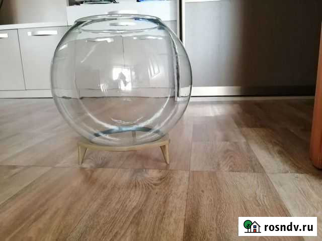 Аквариум Кемерово - изображение 1