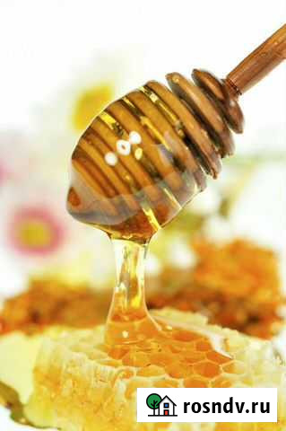 Мед от собственной пасеки Курган - изображение 1