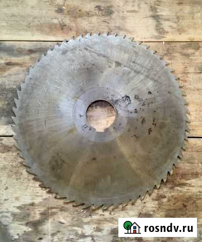 Пильный димк Волжский - изображение 1