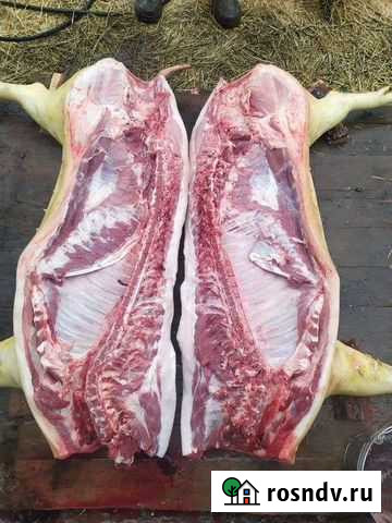 Мясо свинины домашнее Цимлянск - изображение 1