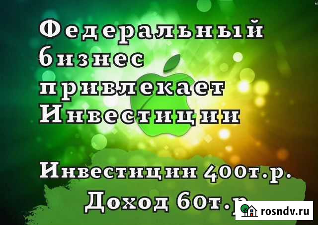 Ищу инвестора в успешный бизнес Подольск - изображение 1
