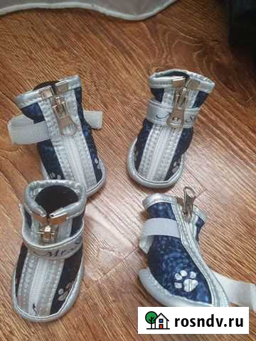 Ботинки для собачки Петропавловск-Камчатский - изображение 1