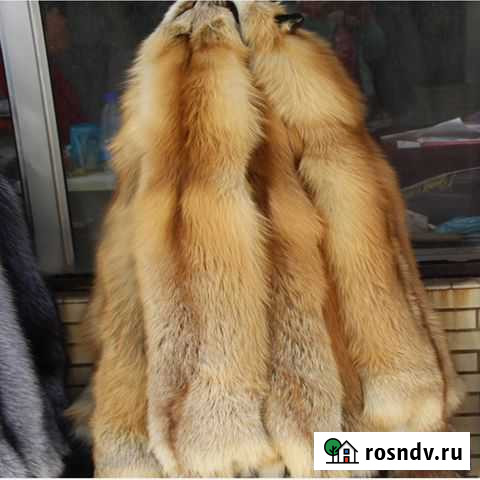 Шкуры лисы Рубцовск - изображение 1
