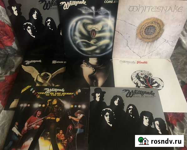 Whitesnake оригинальный винил Нижний Новгород - изображение 1