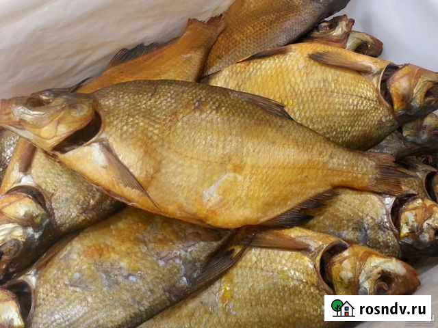 Рыба холодного копчения производство Хрящевка - изображение 1