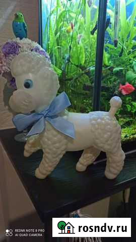 Два пуделя СССР Южноуральск - изображение 1