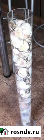 Ракушки для аквариума Дубовое - изображение 1