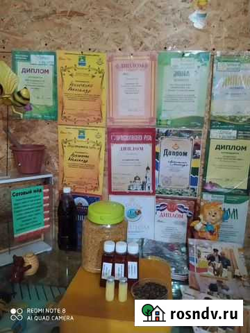 Маточное молочко(живое в заморозке).трутневый гомо Батайск - изображение 1