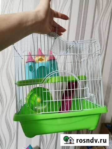 Клетка +(колесо, поилка и опилки) Шимановск - изображение 1