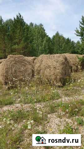 Сено в рулонах Миасс - изображение 1
