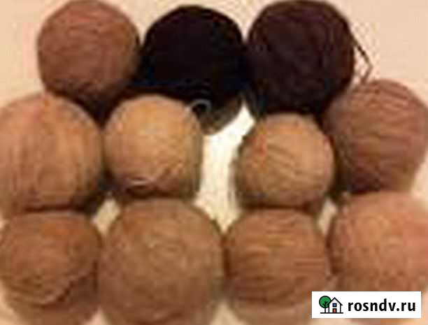 Пряду Томск - изображение 1