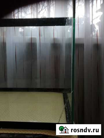 Аквариум Биробиджан - изображение 1